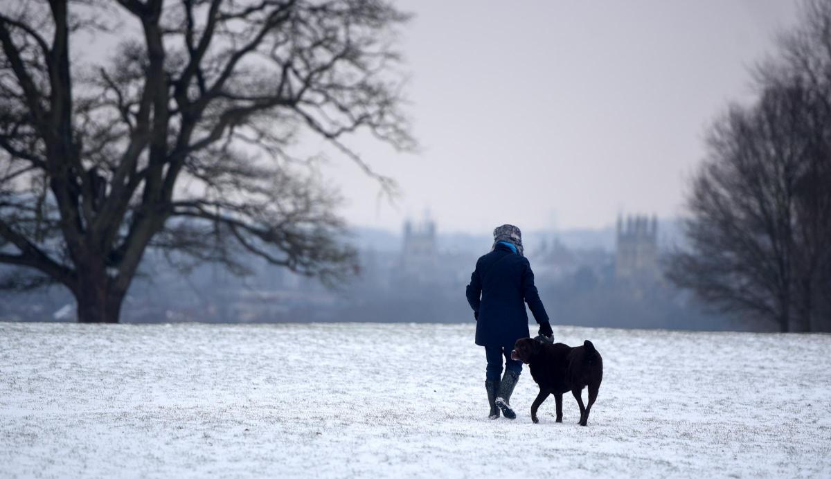 One Year On The Beast From The East In Oxford Oxford Mail